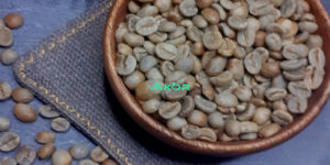 Read more about the article Organic Robusta Greenbean