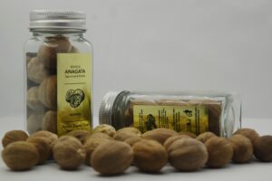 Read more about the article Good Quality of Dried Nutmeg in Glass Jar – Anagata Collection